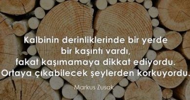 Kalbinin Derinlikleri yara markus suzak