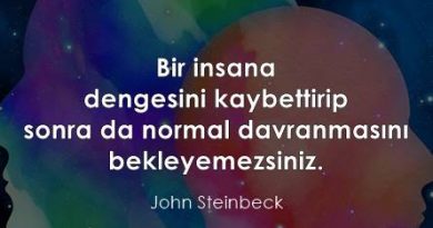 insan sürekli bir değişim içerisinde bir insana dengesini kaybettirip john steinbeck