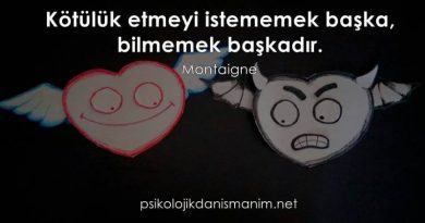 kötülük nedir montaigne sözleri kötülük çiçekleri