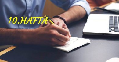 pdr staj raporu örneği benlik özsaygı