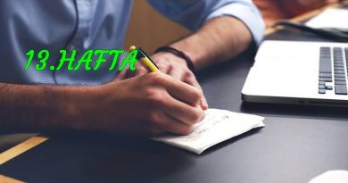 pdr staj raporu örneği