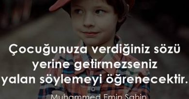 söz verip tutmamak muhammed emin şahin