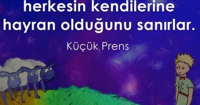 kendini beğenmiş kişiler küçük prens