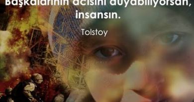 insan mısınız acı duyabiliyorsan tolstoy