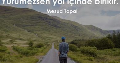 yürümezsen yol içinde birikir mesud topal şehrin sancısı